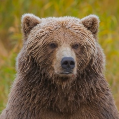 Михаил Юрченко, 03.02, Усть-Каменогорск