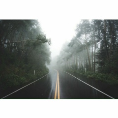 Медет Телеев, 07.01, Алматы