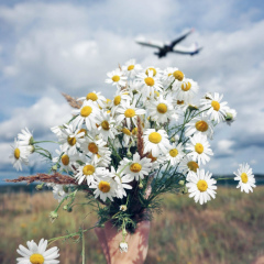 Валерия Таратынова, 06.12