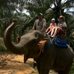 Денис Лузин, 10.03.1991, Оса