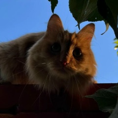 Екатерина Катерина, 13.10, Москва