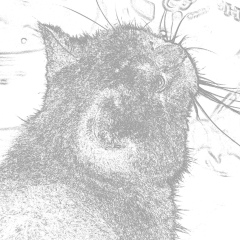 Василий Жижка, Ставрополь