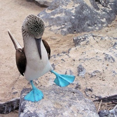 Ольга Нагірняк, 06.11.1987, Винница