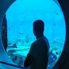 Ленар Вафин, 10.12.1992, Казань