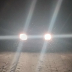 Вячеслав Елисеев, 21.02, Санкт-Петербург