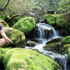 Александр Ли, 19.06.1986, Алматы