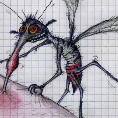 Сергей Комаров, Санкт-Петербург