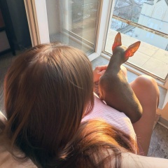 Евгения Баженова, 21.08.1987, Мытищи