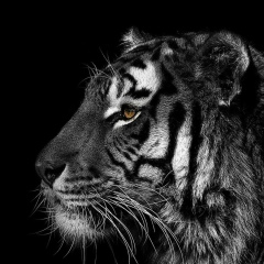 Иван Тишков, 26.02.1988