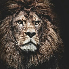 Arman Tursinbai, 08.05.1994, Алматы