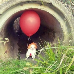 Карина Маркова, İstanbul