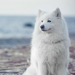 Lia Yankulova, 05.11.1998, София