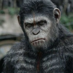 Дмитрий Степанов, 05.07.1930, Санкт-Петербург