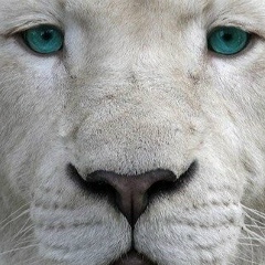 Иван Грибовский, 24.03.1989, Москва