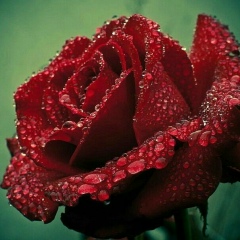 Gulai Gubadullaeva, 10.05