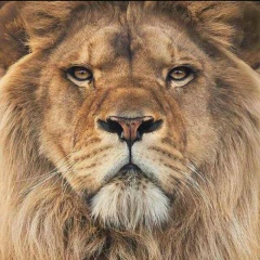 Мейрамбек Беспаев, 17.04, Шымкент