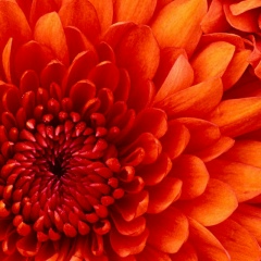 Марина Орденова, Актобе