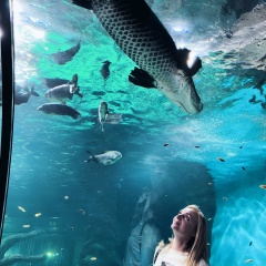 Татьяна Аверченкова, 09.01.1987