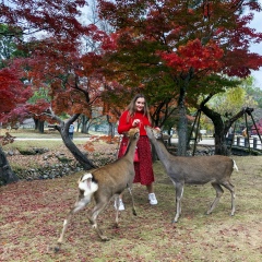Аня Пирог, 13.11.1991, Киев