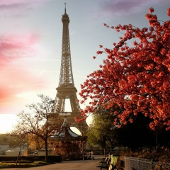 Алина Молдагалиева, 12.06.1988, Алматы