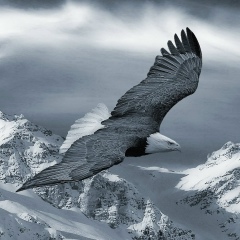 Светлана Позднякова, 24.01, Рязань