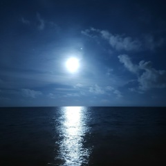 Александр Арсененко, 29.07.1989, Новобогдановка