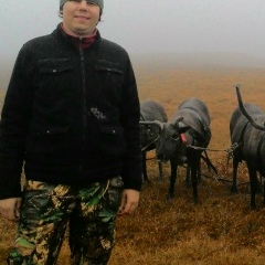 Роман Никонов, 18.01.1984, Москва