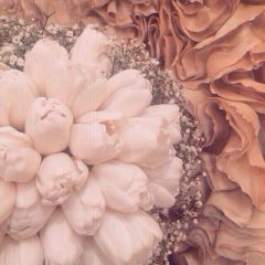 Aza Hadzhimuradova, 29.11.1994, Москва