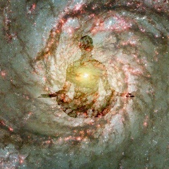 Константин Коротич, 23.12