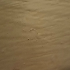 Андрей Михаль, 27.07.1992