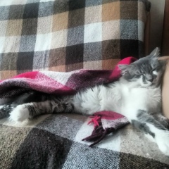 Никита Маврин, 01.05.1991, Санкт-Петербург