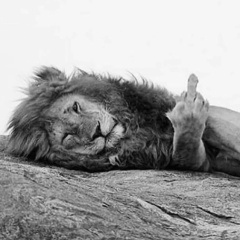 Арсен Израилов, 22.11.1902, Санкт-Петербург