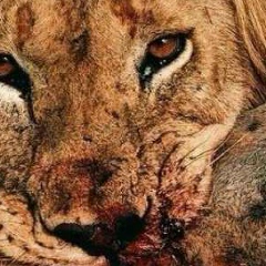 Абдурахман Османов, 09.01.1992, Санкт-Петербург