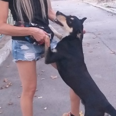 Анна Стельмакова, Николаев