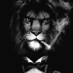 Рашид Исраилов, 15.02.1998, Новороссийск