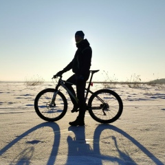 Алексей Трофимов