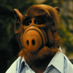 Владимир Батков, 13.09.1988, Санкт-Петербург