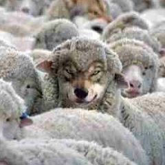 Оралжан Полищук, 04.06.1986, Алматы