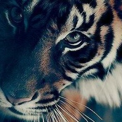 Владимир , 22.03.1986, Казань