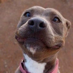 Александр Напильников, 28.11, Москва