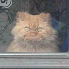 Мария Соколова, 22.02.1984, Санкт-Петербург