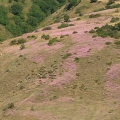 Жора Епремян, 28.03, Санкт-Петербург