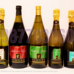 Ксенія Бурак, 28.05, Львов