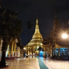 Ashin Nyanissara, 20.09.1980