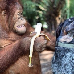 Пабло Пых, 25.03