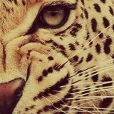 Оксана Мельник, 11.06, Киев