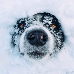 Макс Раух, 18.07, Олекминск