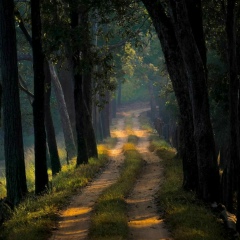 Милана Домбаева, 28.07.1995, Толстой-Юрт