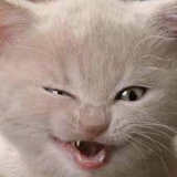 Никита Пименов, 30.09.1991, Москва