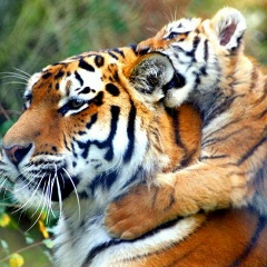 Ainur Kalibekova, 30.01, Алматы